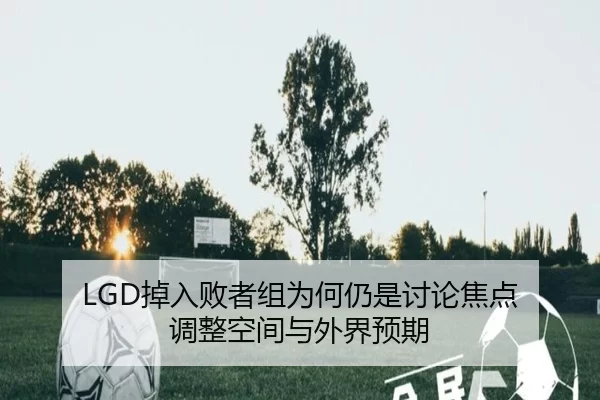 diao-ru-bai-zhe-zu-wei-he-reng-shi-tao-lun-jiao-dian-tiao-zheng-kong-jian-yu-wai-jie-yu-qi-2-698.jpg